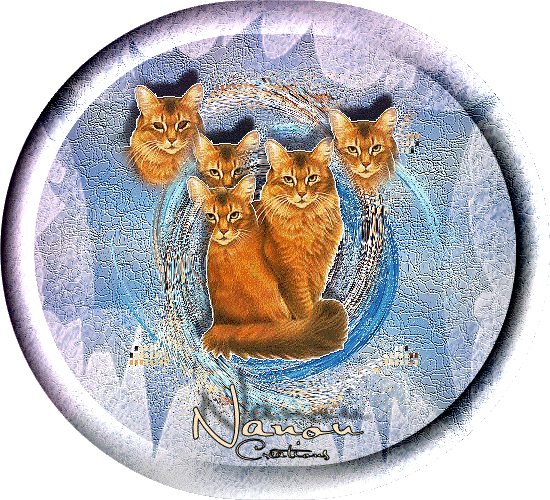 Les 5 tetes de chats