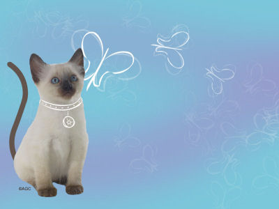 Petite deco pour vos blog !