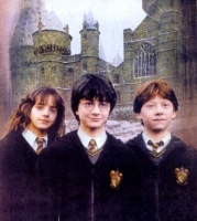 Voici harry potter harmione et ron le trio