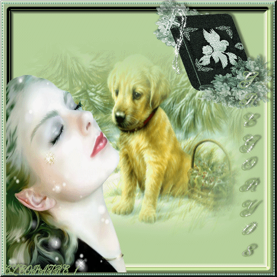 Creation de Colombe08 (Trs beau le tit' chien *_*)